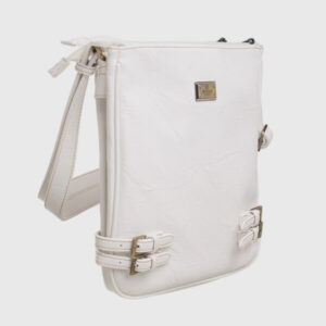 Classic Buckle Zipper Bag